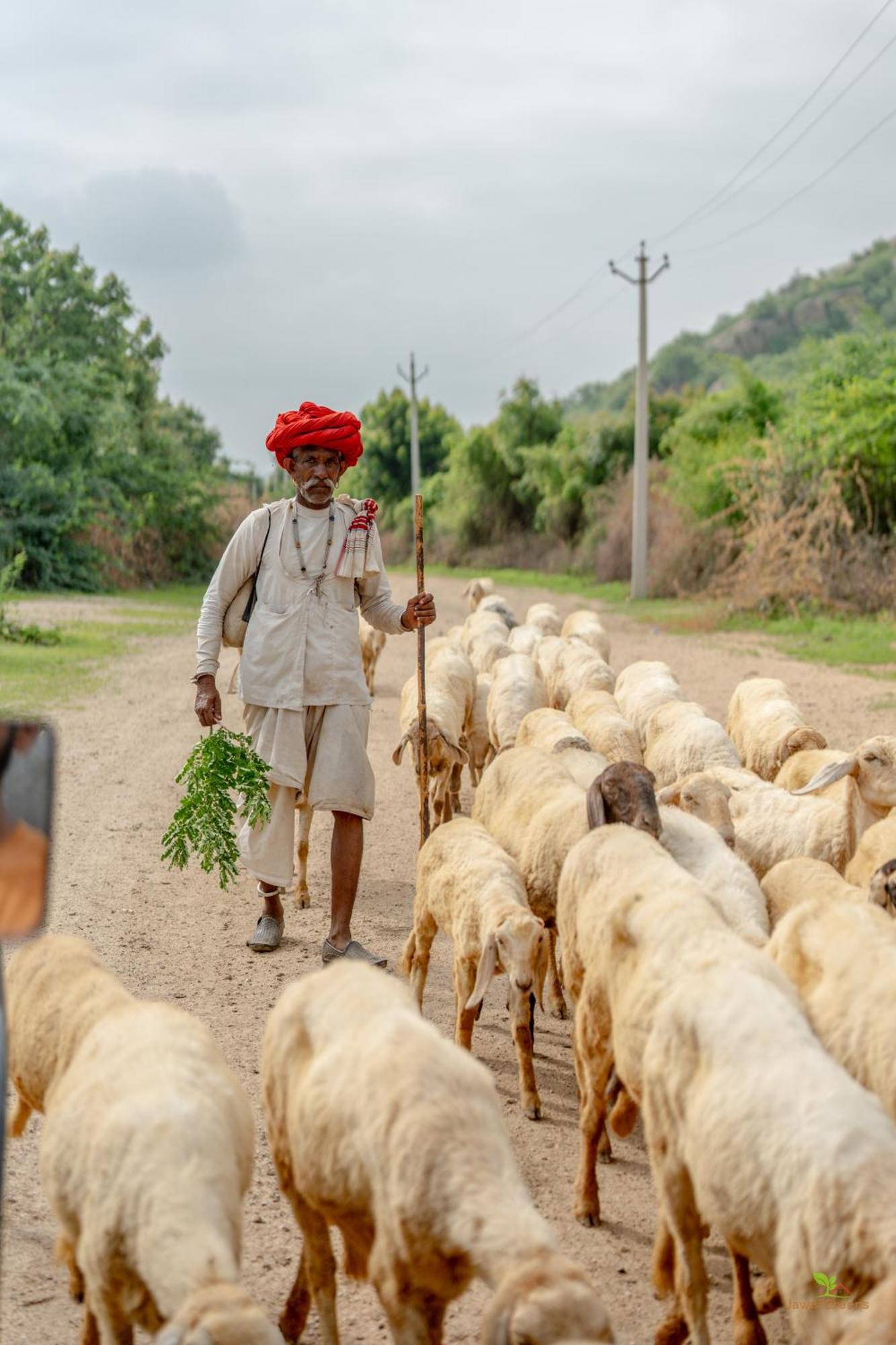 Jawai Greens Jawai Bandh Dış mekan fotoğraf