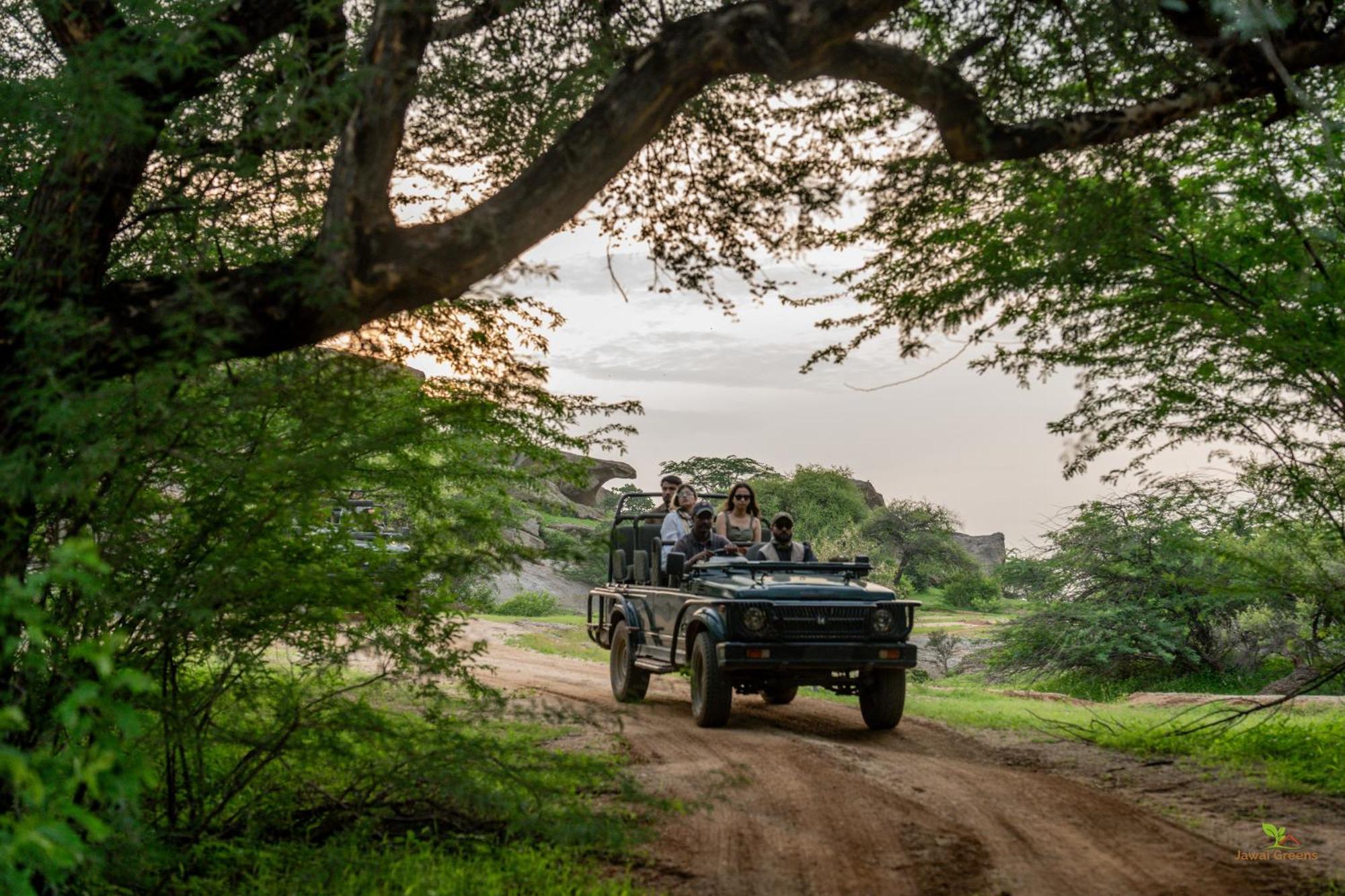 Jawai Greens Jawai Bandh Dış mekan fotoğraf