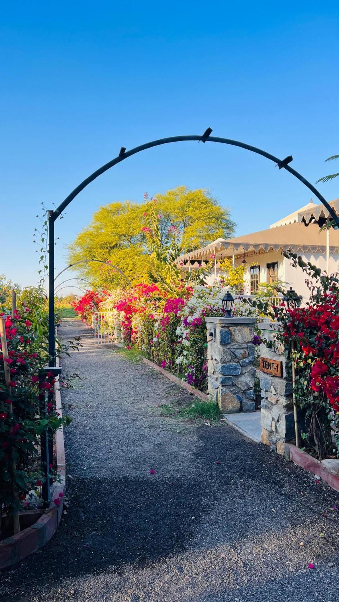 Jawai Greens Jawai Bandh Dış mekan fotoğraf